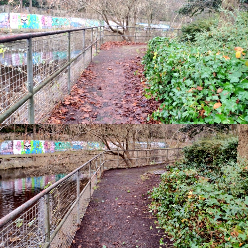 Water of Leith Conservation Trust tweet media