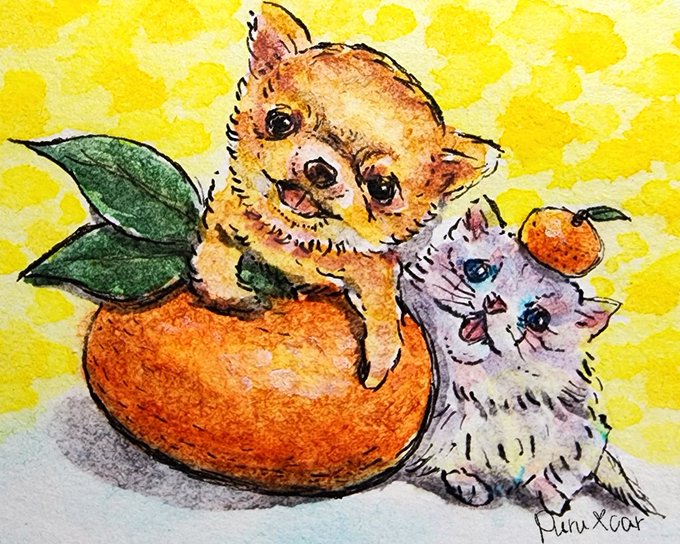 「leaf orange (fruit)」 illustration images(Latest)