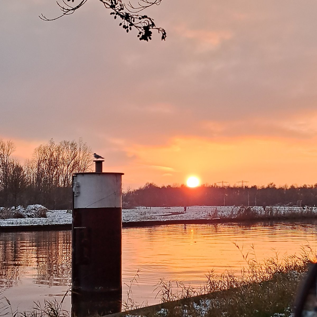 Goedemiddag,
Ik heb de afgelopen dagen rijdend op mijn #easyrider weer genoten van het feit dat ik er zelfstandig met dat mooie weer op uit kon en dus vrijdag in de namiddag ook weer foto's van de #zonsondergang kon nemen.
Fijne zondag!
#nah #genietenindenatuur #positief