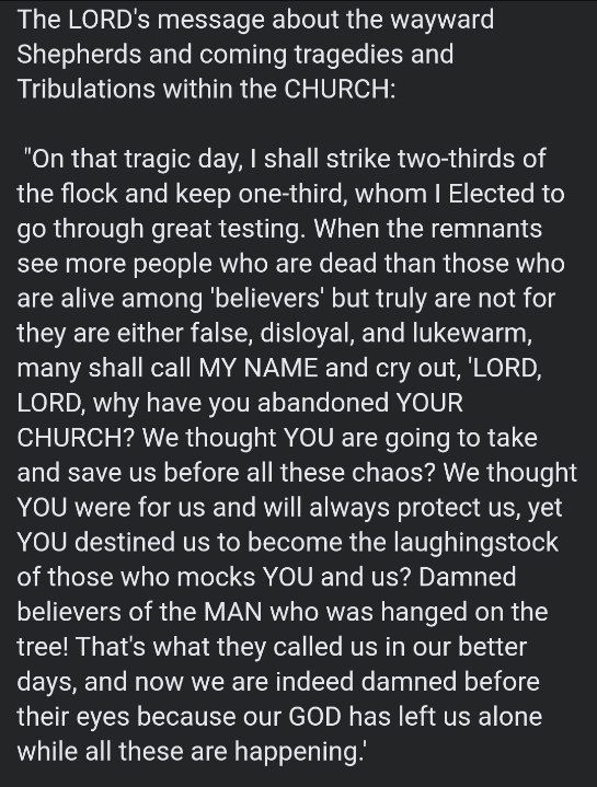 Sev_eyyy's tweet photo. ⚠️ The LORD'S MESSAGE about the wayward Shepherds and coming tragedies and Tribulations within the CHURCH ⚠️ 

Pray for the Spirit of Discernment. https://t.co/wCVnlipPZf