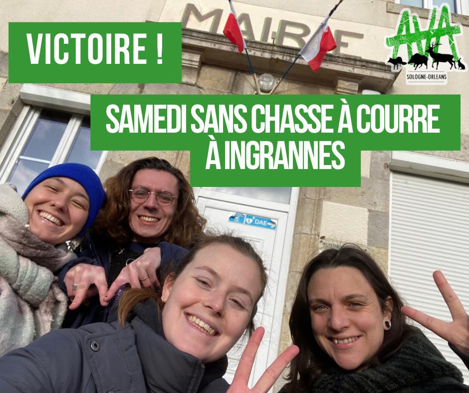 Cerf refugié chez un habitant d'Ingrannes (45) :
L'équipage du Comte de la Rochefoucauld🫅 a dû annuler la #chasseàcourre de ce week-end suite au tollé national provoqué par ses actes ! 

Cela fait donc un second cerf sauvé par la mobilisation des habitants 🦌🦌✌️!
ON CONTINUE !