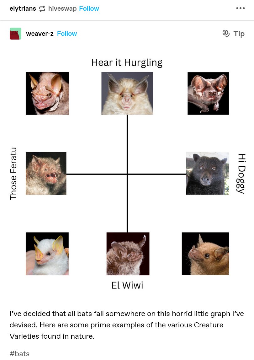 YaiSor's tweet photo. folks with bat-sonas, where are u on this chart (important research) https://t.co/BO4QbFR3L9