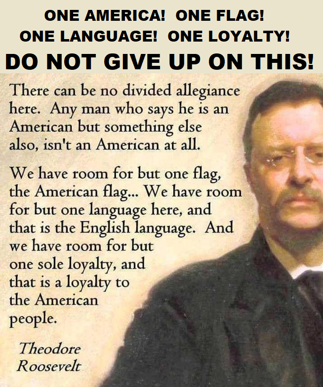 SHOULD ANYONE WAVING ANOTHER COUNTRY’S FLAG WHILE PROTESTING AGAINST AMERICA BE DEPORTED ”Any man who says he is an American, but something else also, isn't an American at all. We have room for but one flag, the American flag... We have room for but one language here, and…