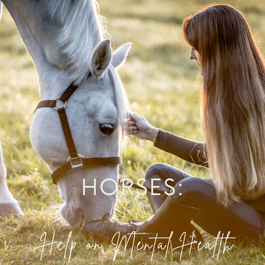 Horses: Help on Mental Health
Mindfulness and Presence
Emotional Regulation
Communication Skills: Effective communication with horses relies on clear, non-verbal cues.