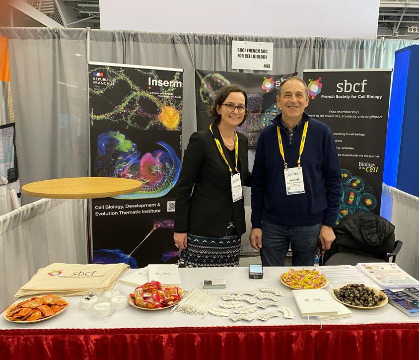<a href="/SBCF1/">SBCF</a> booth is ready to welcome you at #cellbio2023 to discuss research in France ! <a href="/ASCBiology/">American Society for Cell Biology</a> <a href="/EMBO/">EMBO</a>