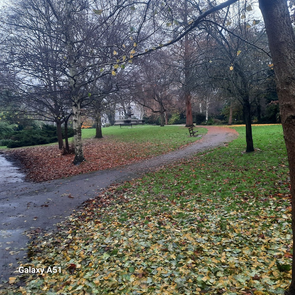 On a damp wintery day, sitting close by the Redwood tree is the St Paul's Fountain. This unique piece of history was transported from <a href="/StPaulsLondon/">St Paul's Cathedral</a> churchyard in 1909 to the then called Hornsey Pleasure Grounds. We still aspire to see this working again.