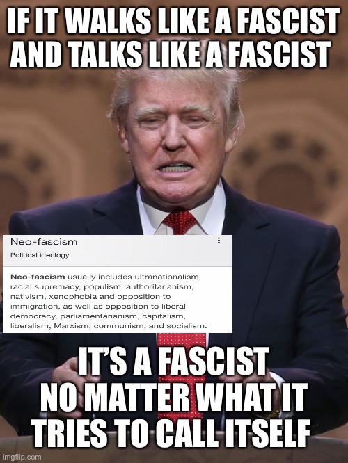 Damaan4u33's tweet photo. Trump's too stupid to know it, but that's what he is...a fascist. Who agrees? ✋✋✋ https://t.co/9x0ASNcCfb