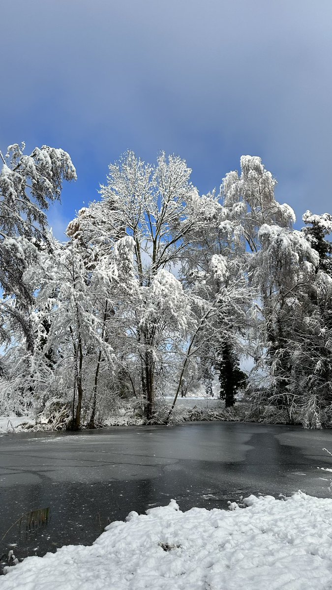 #Wintereinbruch #snowfall #see #natural