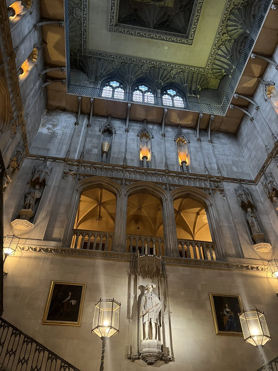 Victoria Halliday tweet media