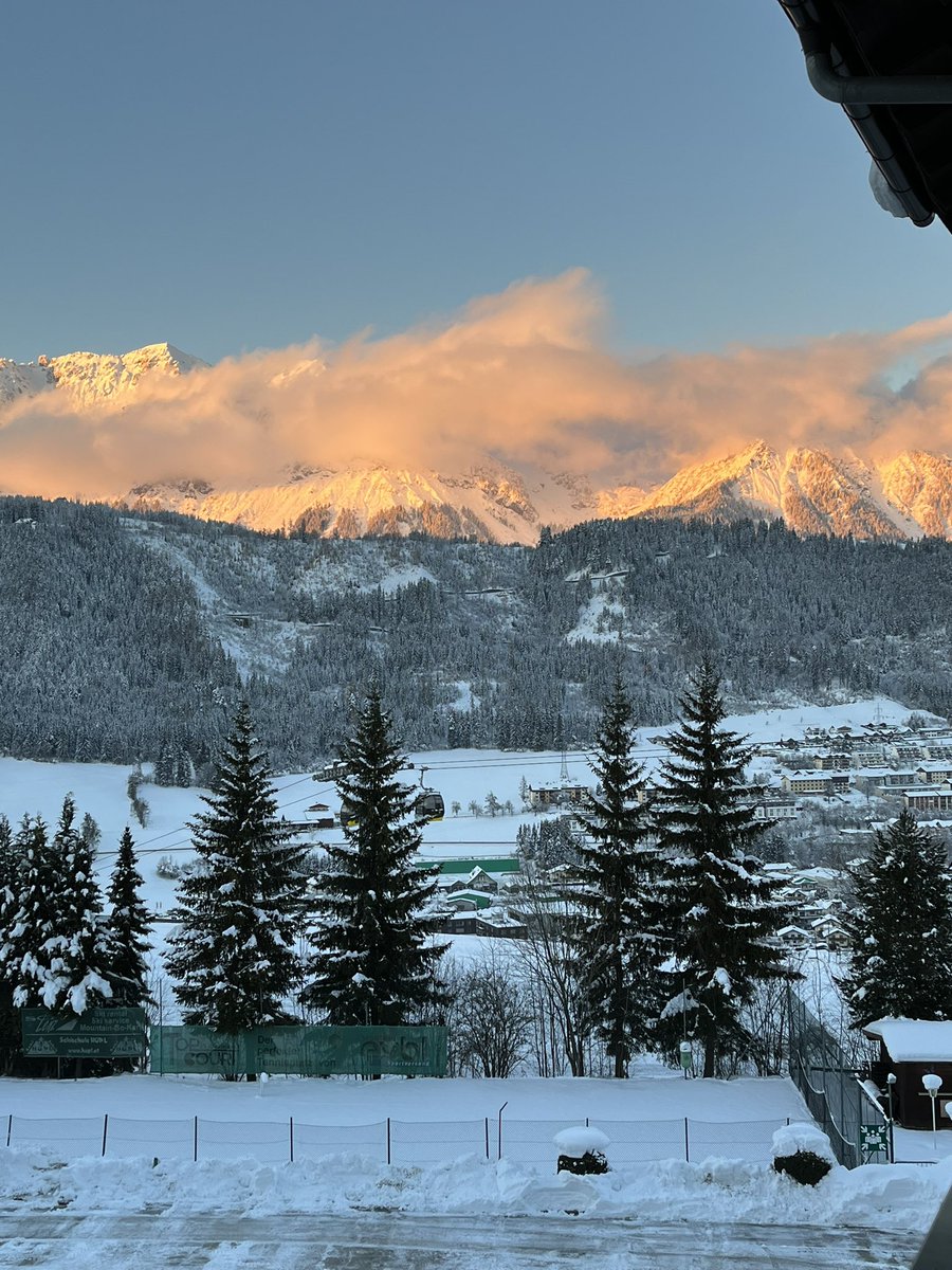 Jill Bush tweet media