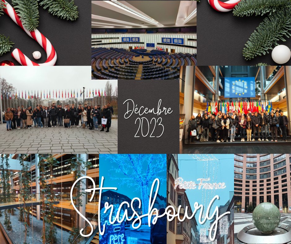 Les élèves de terminales qui suivent l'option DGEMC et des élèves de 1G qui suivent l'EDS HGSSP ont été à Strasbourg pour visiter le parlement Européen et le Conseil de l'Europe. Ils en ont profité pour faire un petit tour au marché de Noël.