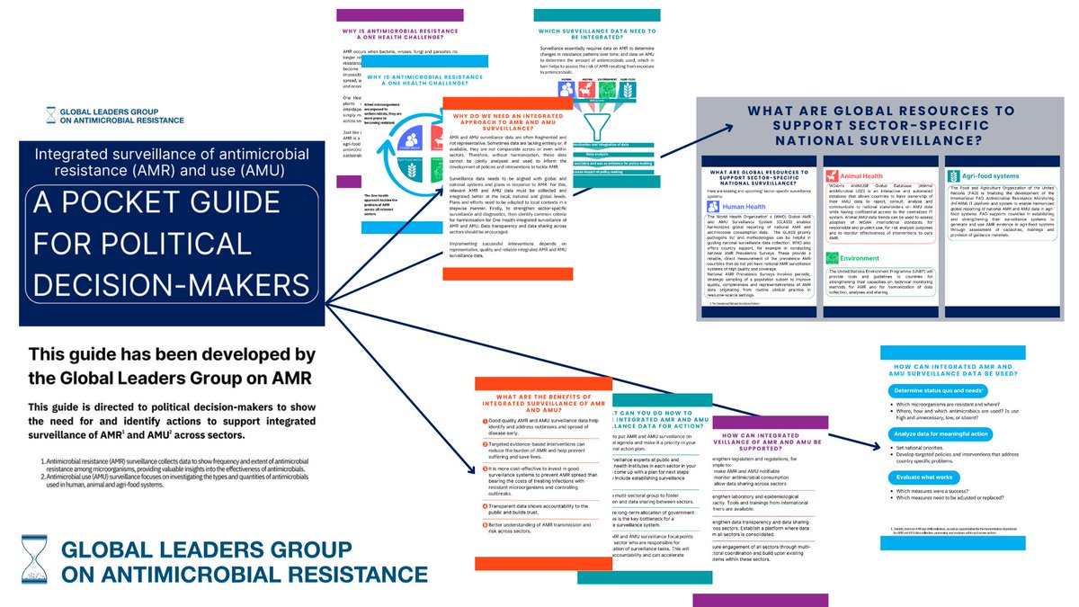 Today at #COP28UAE the @GLGAMR launched a new advocacy tool to help government Ministers across all sectors collect and use integrated surveillance data. We need more data to drive decisions and actions in our fight against #AMR. Download your copy here: bit.ly/3t2CdqO