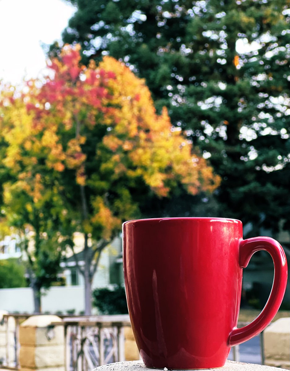 saalu4m's tweet image. sipping on morning coffee, cozied up with a captivating autumn view. 🍂#PerfectStart