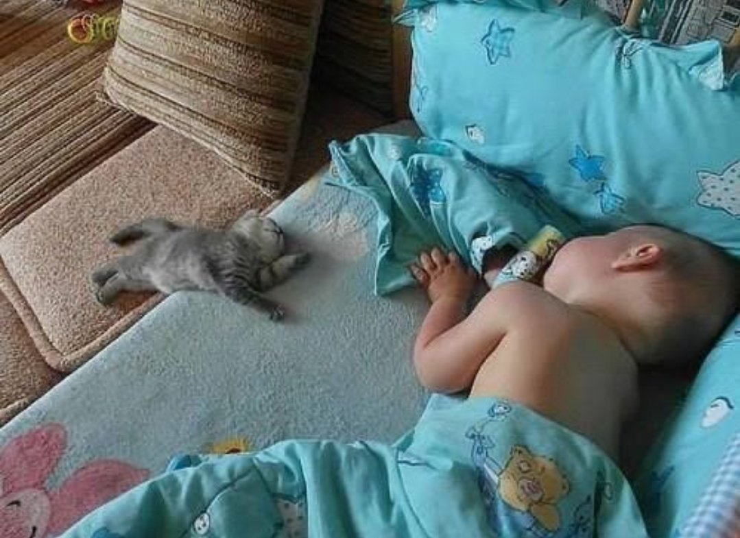 Miep51082958's tweet photo. #TheCuteFactor https://t.co/ep2NhbxN2M