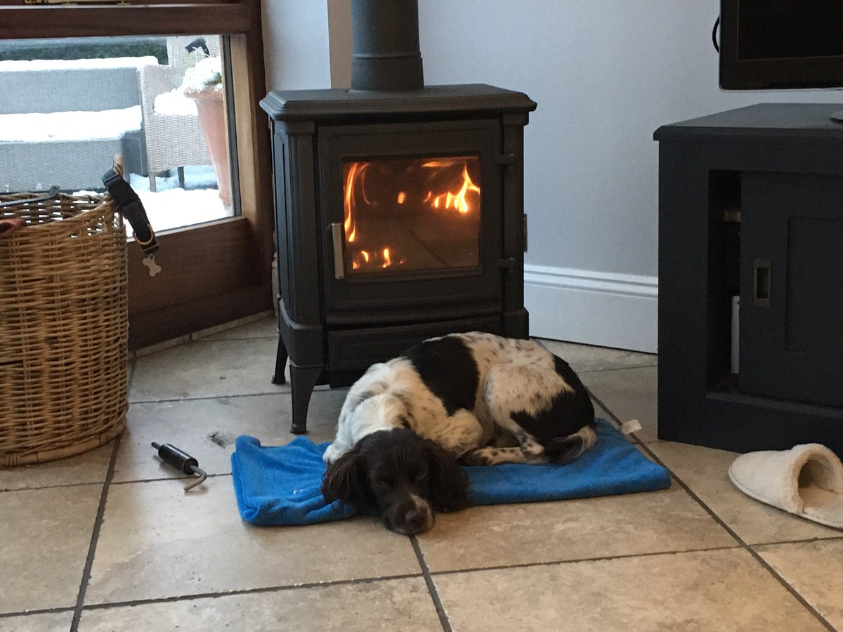 Drying and warming after a run in the snow.