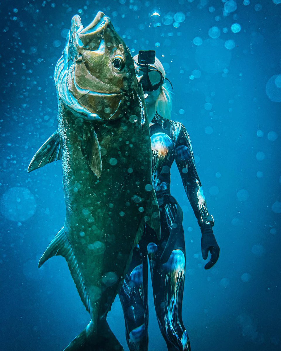 xfishing_'s tweet photo. Love this fish ?🐟
Please say something about this pic 📷

 #fishinglife #fishing #fishingtrip #fish #xfishing https://t.co/N5PgQFbGhP