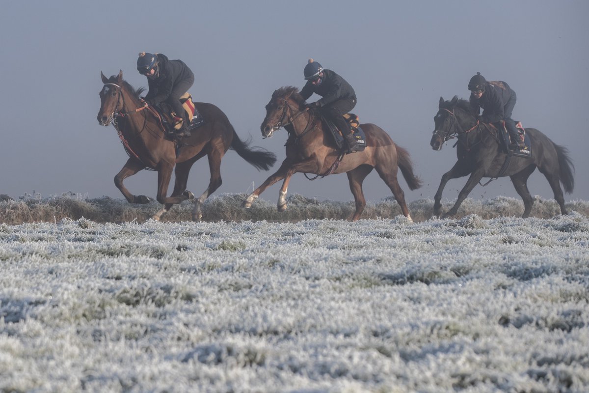 A stunning morning at Barbury Castle, where it was cold, foggy and incredibly beautiful.... here's a thread of my favourite photos from the morning...  

Work as the sun pokes through, starbursts through the frost, walking home and quick work...