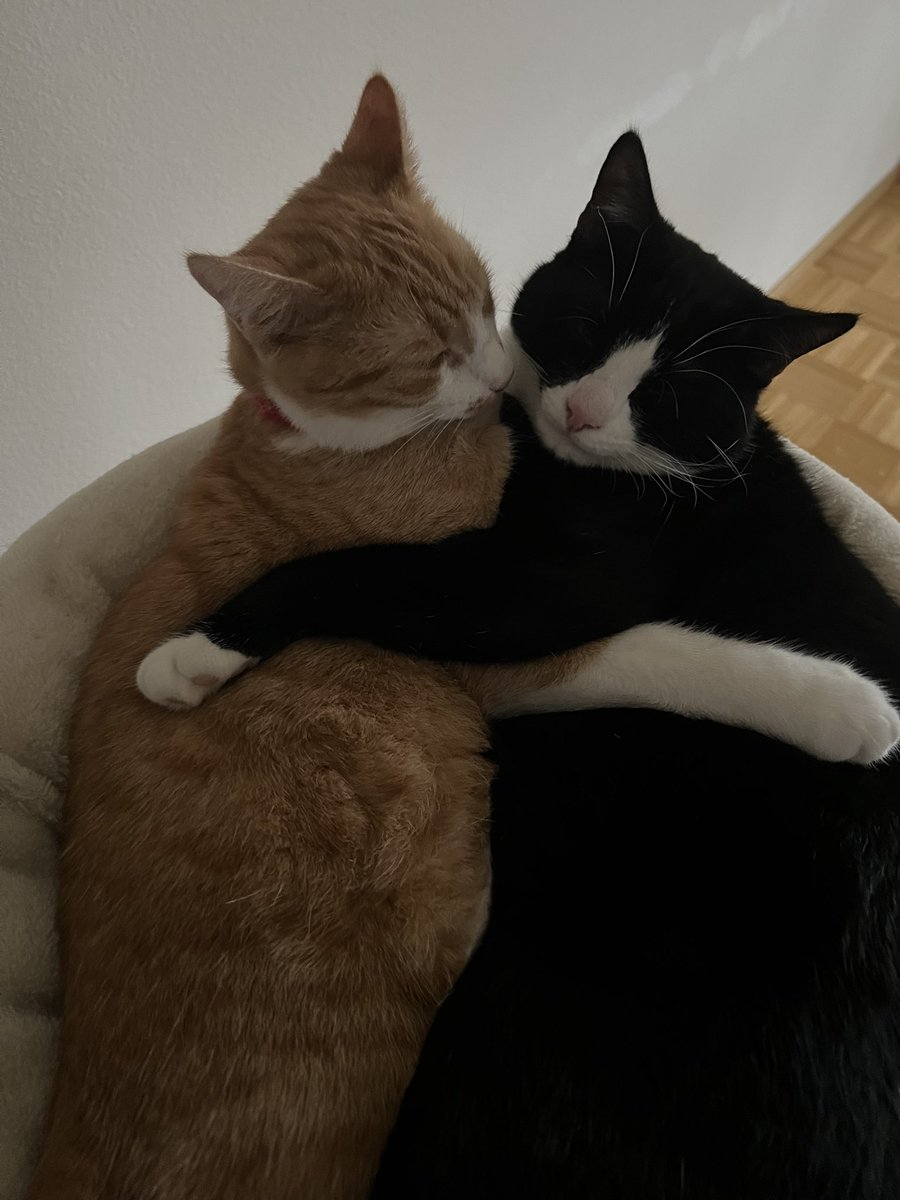 ich cha ned