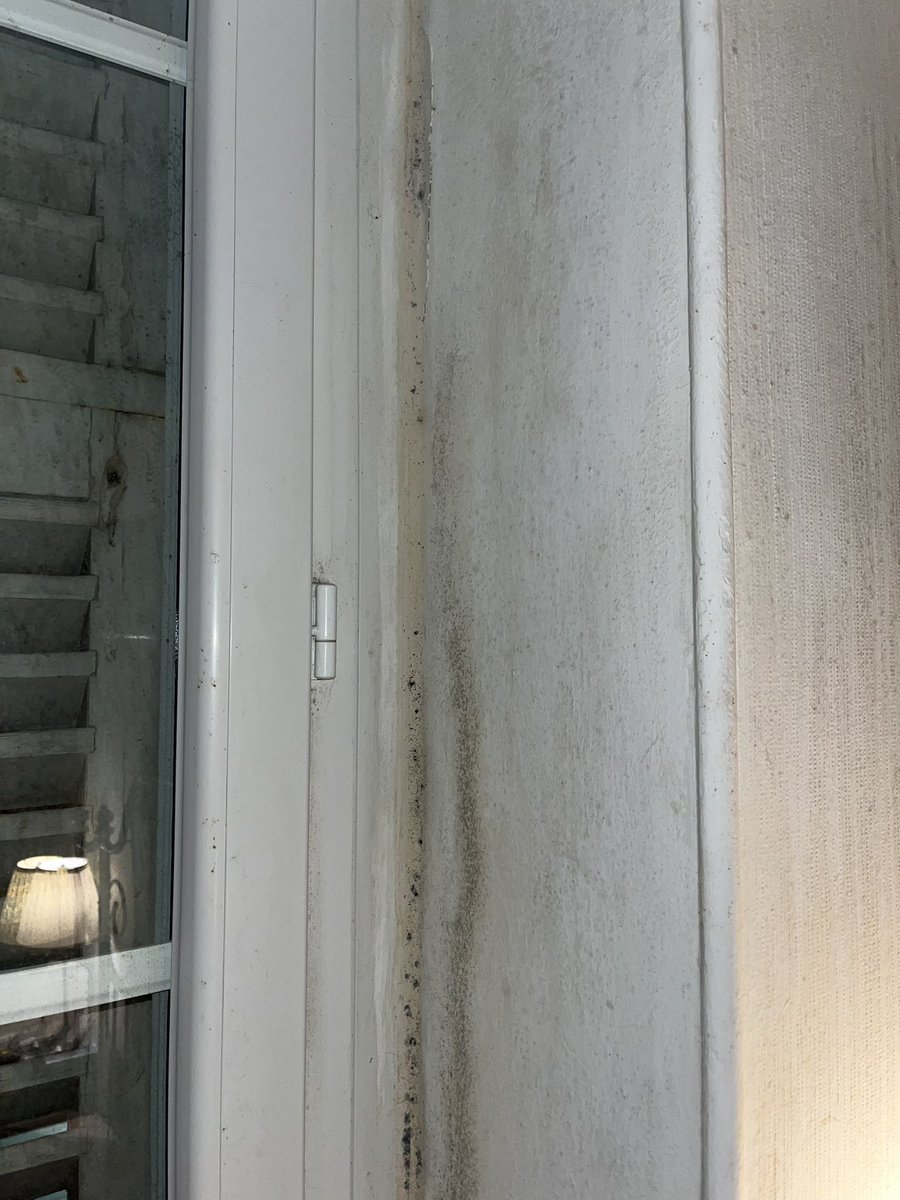 C’est sympa d’habiter Bordeaux, c’est pas du tout humide 🥲🥲🥲 (ceci est des photo de ma chambre)