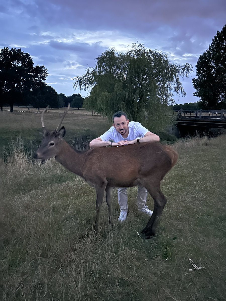 DavidGran86's tweet photo. 🦌 ❤️
#richmondpark #animals #ciervo #animales #deer #parquenatural #nature #naturalpark https://t.co/xM4ilaheyu