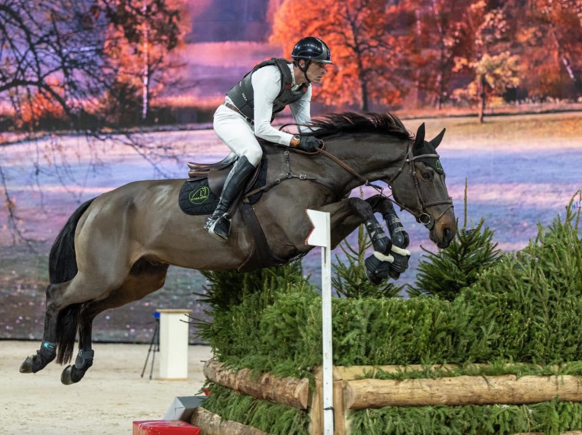 FRA_Equitation's tweet photo. #CrossIndoor Maxime Livio &amp; Boleybawn Prince ont remporté l'Agria Top 10 Indoor Eventing à Stockholm🇸🇪 !🏆🤩 Ils ont signé le meilleur chronomètre et se sont imposés devant les 8 autres concurrents !🇫🇷
👉https://t.co/yCO51gVeIj
📷 Sweden International Horse show / Roland Thunholm https://t.co/JqnLtJkjKi