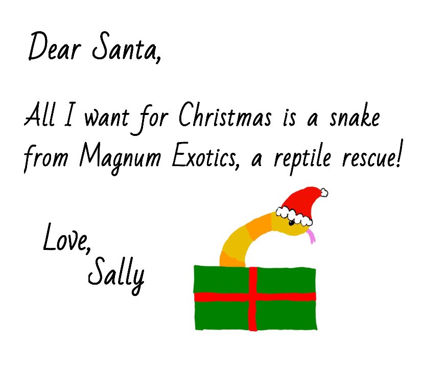 Reptiles still need to find home even during the holidays make yours or someone else’s special with a reptile! #christmas #gift #snake #reptile #holidays #adoptme #gecko #ineedahome #crestedgecko #takemehome #turtle #lizard #adoption #rescue #love #cute #kids #gifts #newreptile