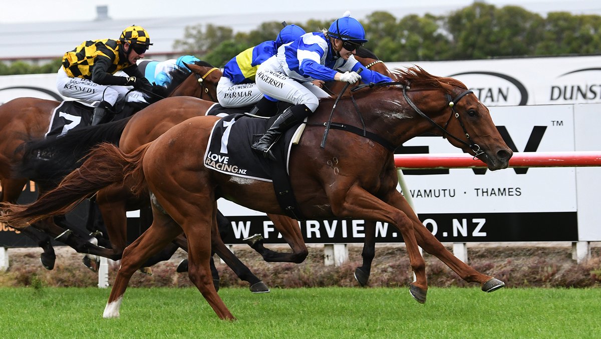 KarakaChat's tweet photo. Just As Sharp (NZ) Puts Rogersons Back in 3YO Spotlight 💥
Team Rogerson had one of last season’s standout three-year-olds with #SharpNSmart (NZ) (Redwood), who they bought from the draft of breeder Westbury Stud at Karaka. That same formula has now produced an emerging star of the 2023-24 crop.
Rogerson Bloodstock paid $145,000 to buy #JustAsSmart (NZ) (Swiss Ace) from @WestburyStud Book 1 draft at Karaka 2022. A powerful come-from-behind win in Saturday’s $80,000 Listed Trevor & Corallie Eagle Memorial (1500m) at Te Rapa was the third win of a four-start career for the classy gelding.🎉
Just As Smart is raced by Graeme Rogerson, Gerry Harvey, Craig Leishman and Merv and Meg Butterworth, who all also share in the ownership of Sharp ‘N’ Smart.🙌
“He will go to the Karaka Millions 3YO (1600m) next, and then we will look at the Derby. I think there is a hell of a lot of improvement still in him.”
Read more📰: https://t.co/jcjPEBJnpI
#WhereWinningBegins✨