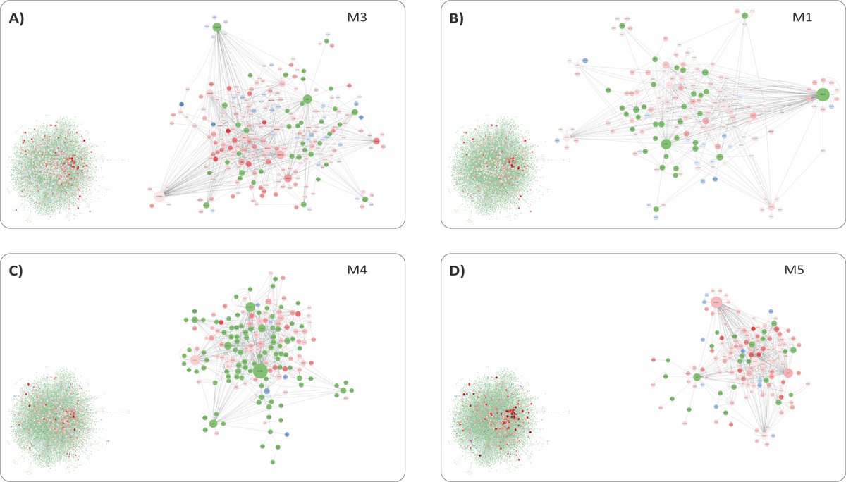 david_machugh's tweet photo. In press, our new @ElsevierConnect #Tuberculosis #IntegrativeGenomics paper. Great work @Tom_JHall, &amp; @steve_myco et al.
Looking forward to discussing this with @AFBI_EMbI and friends in Belfast tomorrow! 😀 Support @ucdagfood @scienceirel @GenomicsCRT @UCD_Conway @UCD_Research https://t.co/EymPpGAzsJ