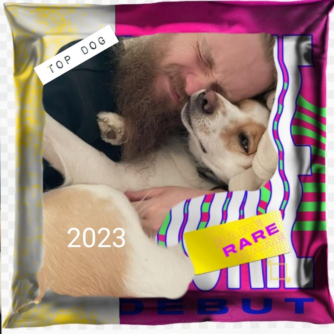 Limp Korn Dogg+ tweet media