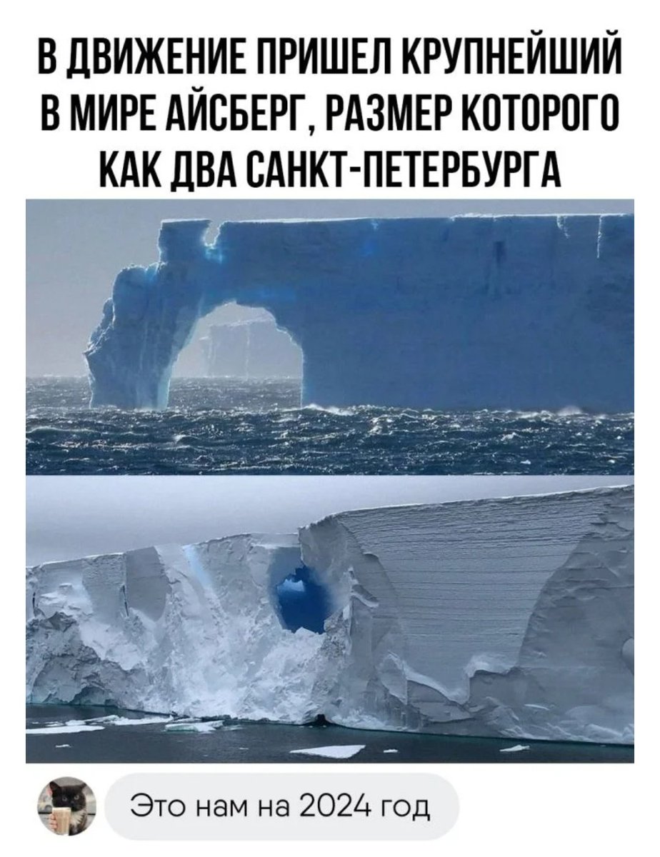 capy0_0's tweet photo. https://t.co/btOJGUB2XI