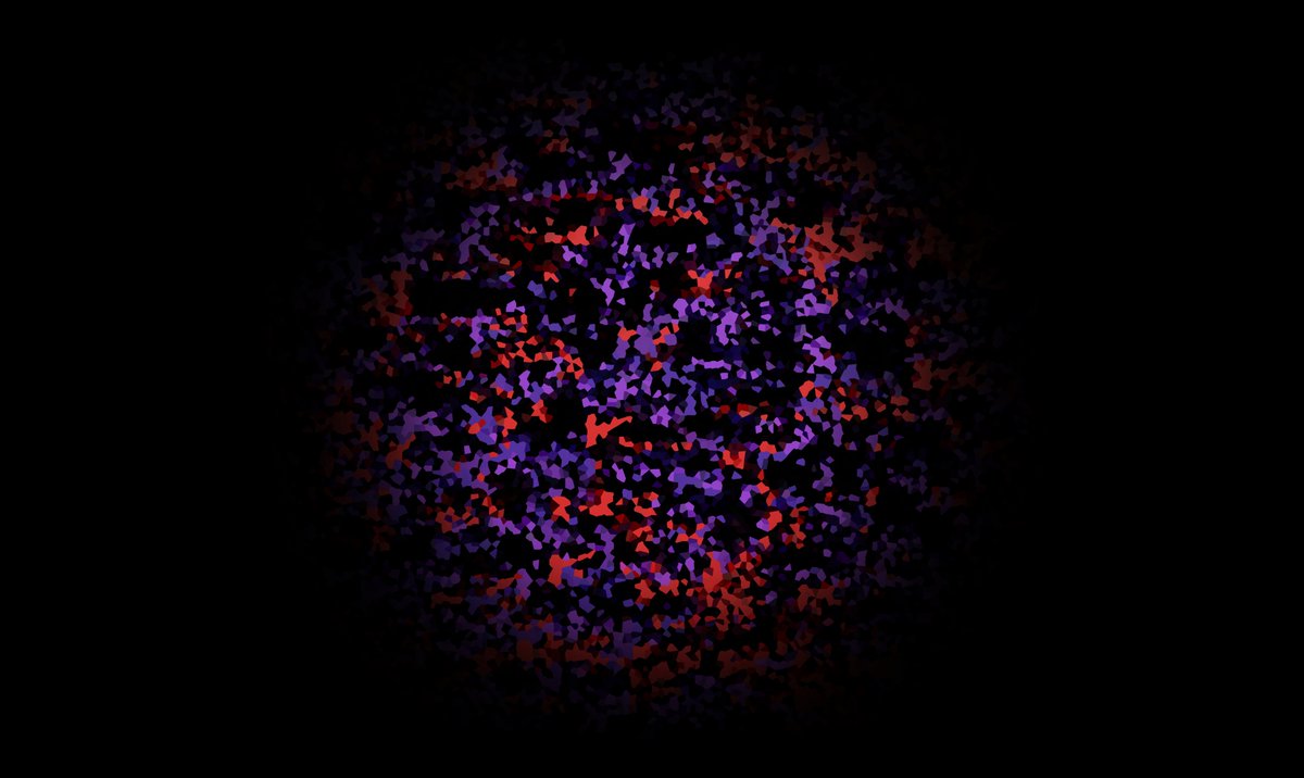 Somkoylabs's tweet photo. @dan1el_d1g1tal hello, I love your work, we have a bit of the same mosaic style https://t.co/NOtLIW2nbc