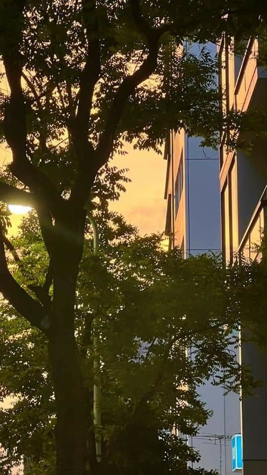jayyxart's tweet photo. Vivons cette poésie sous forme de couleurs 🌇 https://t.co/sU8E0o4WcL