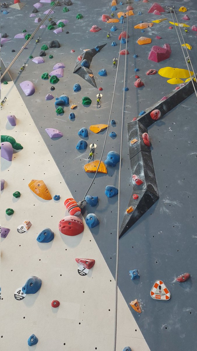 Alexandra_Hoffmann tweet media