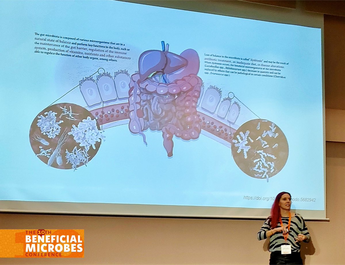 IMDEA Nutrición tweet media