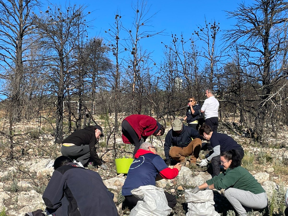Un año más #Oriwa #Torás se une a la campaña #Libera <a href="/SEO_BirdLife/">SEO/BirdLife</a> <a href="/ecoembes_com/">Ecoembes Comunica</a> por nuestros montes... seguimos teniendo esperanza #ifbejis Volvemos a liberarlos de #basuraleza <a href="/Torasisimo/">Torás</a>