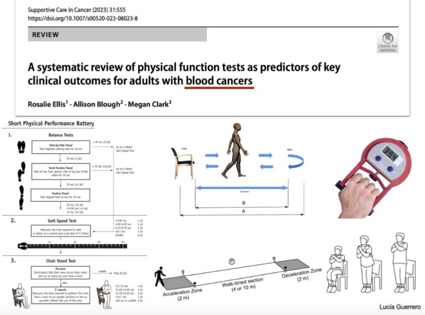 Strength4_Life's tweet photo. 🏋️💪🏼A systematic review of physical function tests as predictors of key clinical outcomes for adults with blood cancers

#StrengthSavesLives

https://t.co/kCIDkcLEyI https://t.co/oMz3egxEXK