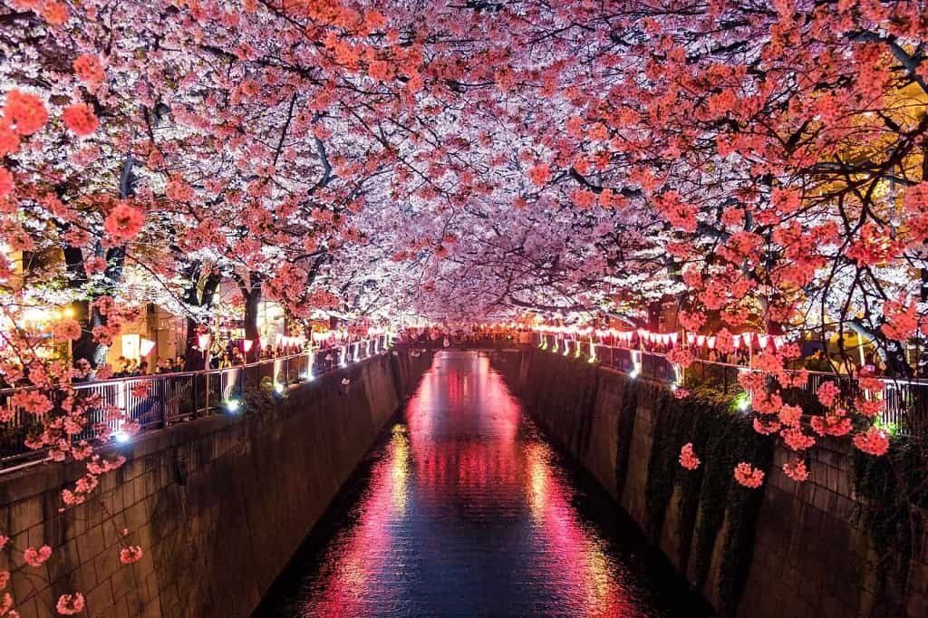 TheRealJapan1's tweet image. The Best Time To Visit Japan – Spring

therealjapan.com/best-time-to-v…

#japanseasons #japanspring #japansummer #japanfall #japanautumn #japanwinter #TheRealJapan #Japantravel #Japantrip #Japan #Japanguide #Japantravelplan #japantravelplanning #Japantripplan #seasons