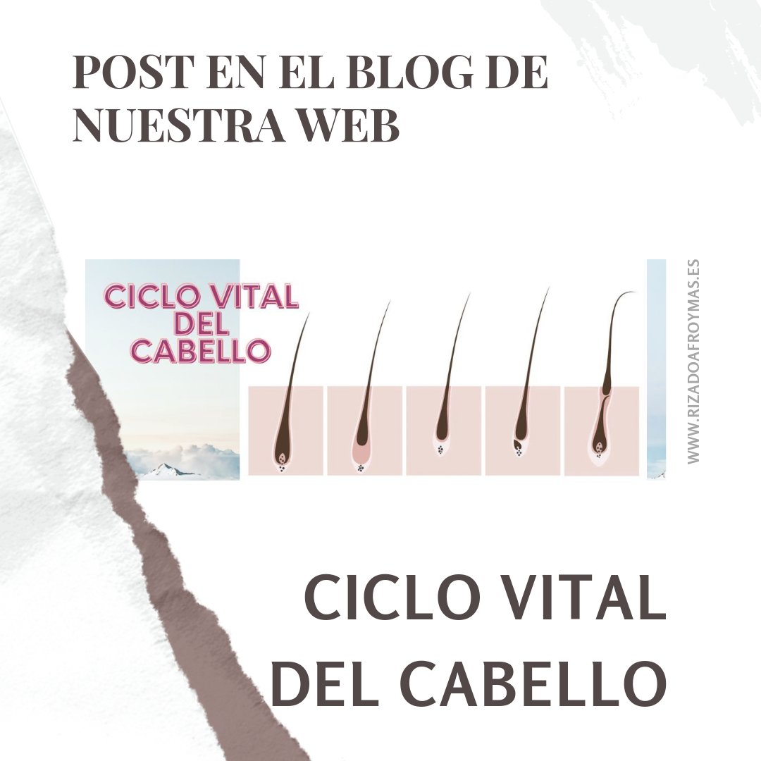 rizoyafro's tweet photo. Conocer el CICLO VITAL del cabello es importnte porque te ayuda a comprender algunos de los problemas capilares más frecuentes ➰

No te pierdas éste post en el BLOG de nuestra web:
https://t.co/91UZd8ZVng
💗💗
.
 #ciclovitaldelcabello #cuidadodelcabello https://t.co/PLu4W7rmWq