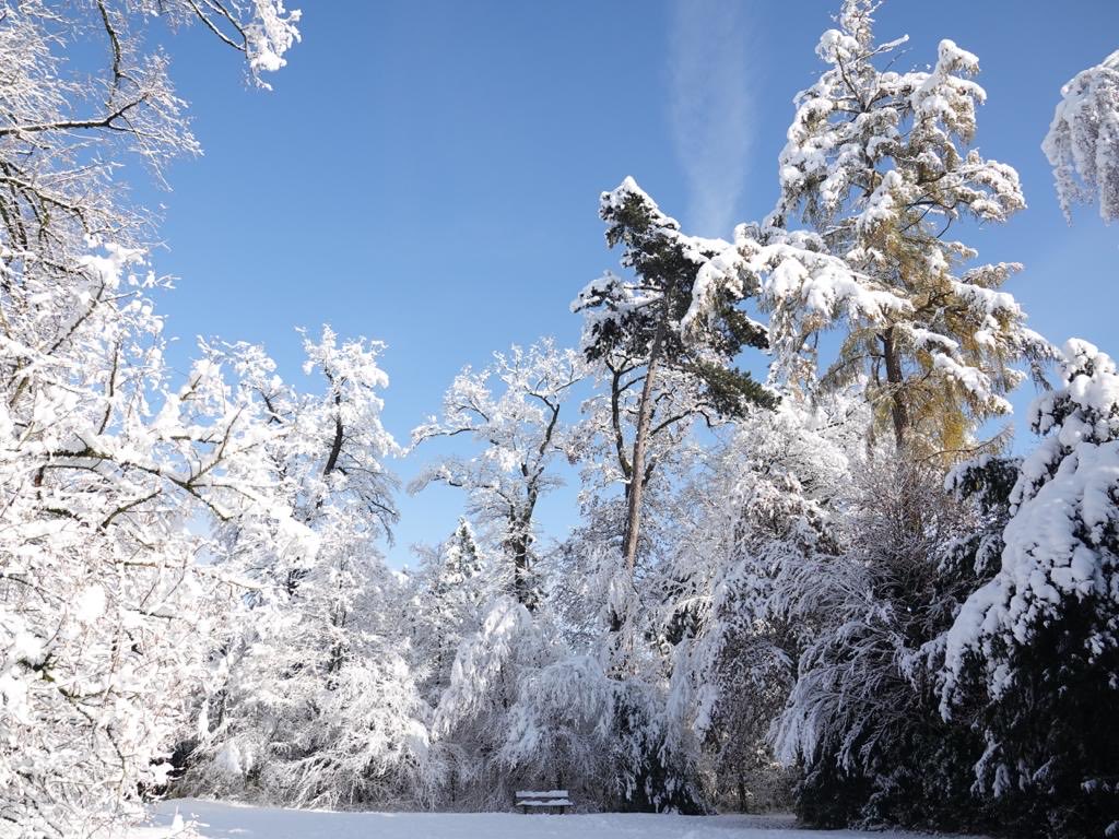 Winter in Winterthur