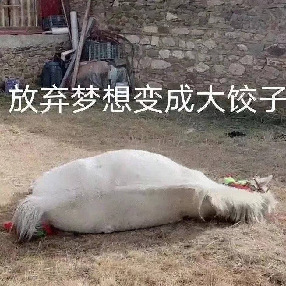 Citric_acid03's tweet photo. 睡觉😪 https://t.co/vdiZMzK4ei