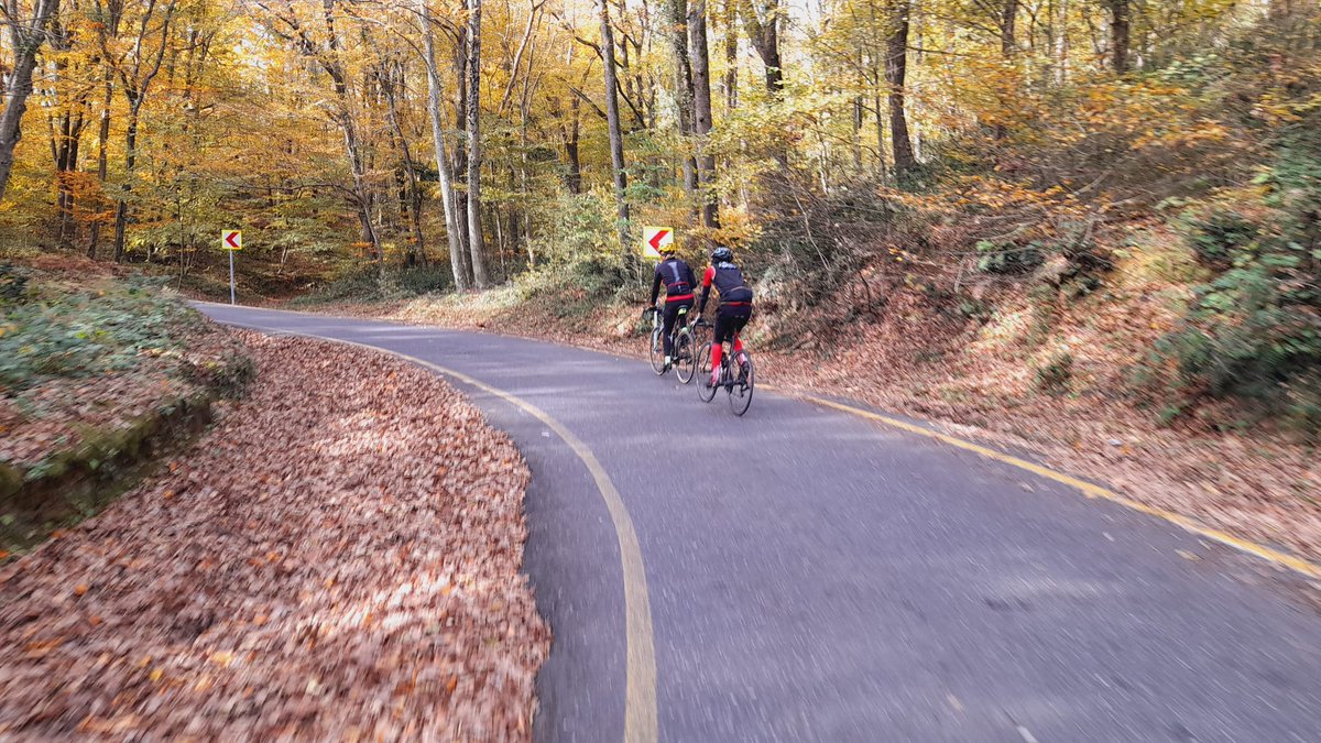 alper_elmas's tweet photo. Gezegen Bisiklet pazar turumuz
#gezegenbike #bisiklet #bike #argon18 #bikeporn #velespit #cycling #bicycles https://t.co/JSFLqW3f4b