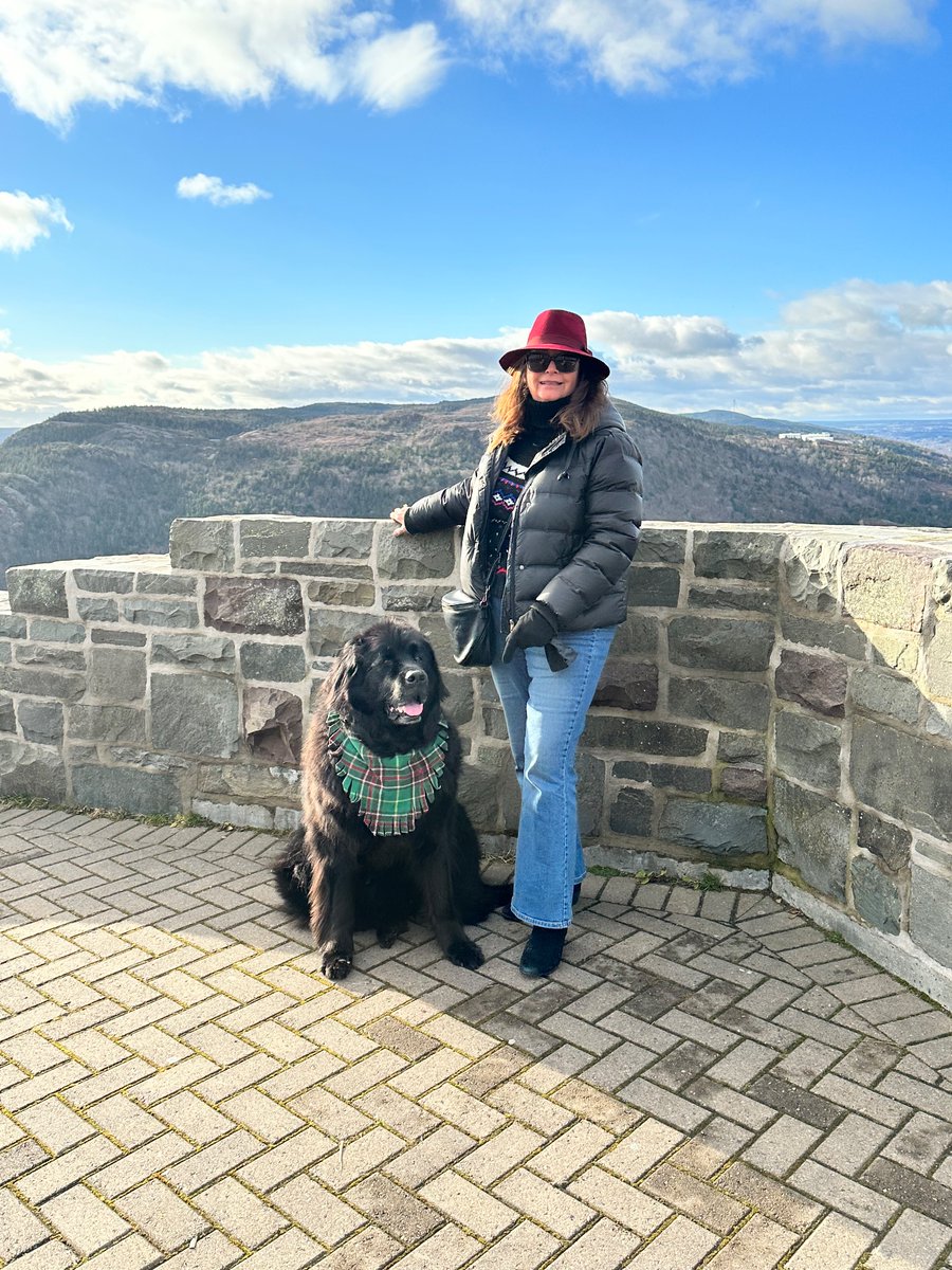 Signal Hill in St. John’s, NL with Jake Doyle #Dogsoftwitter #NewfoundlandDogs