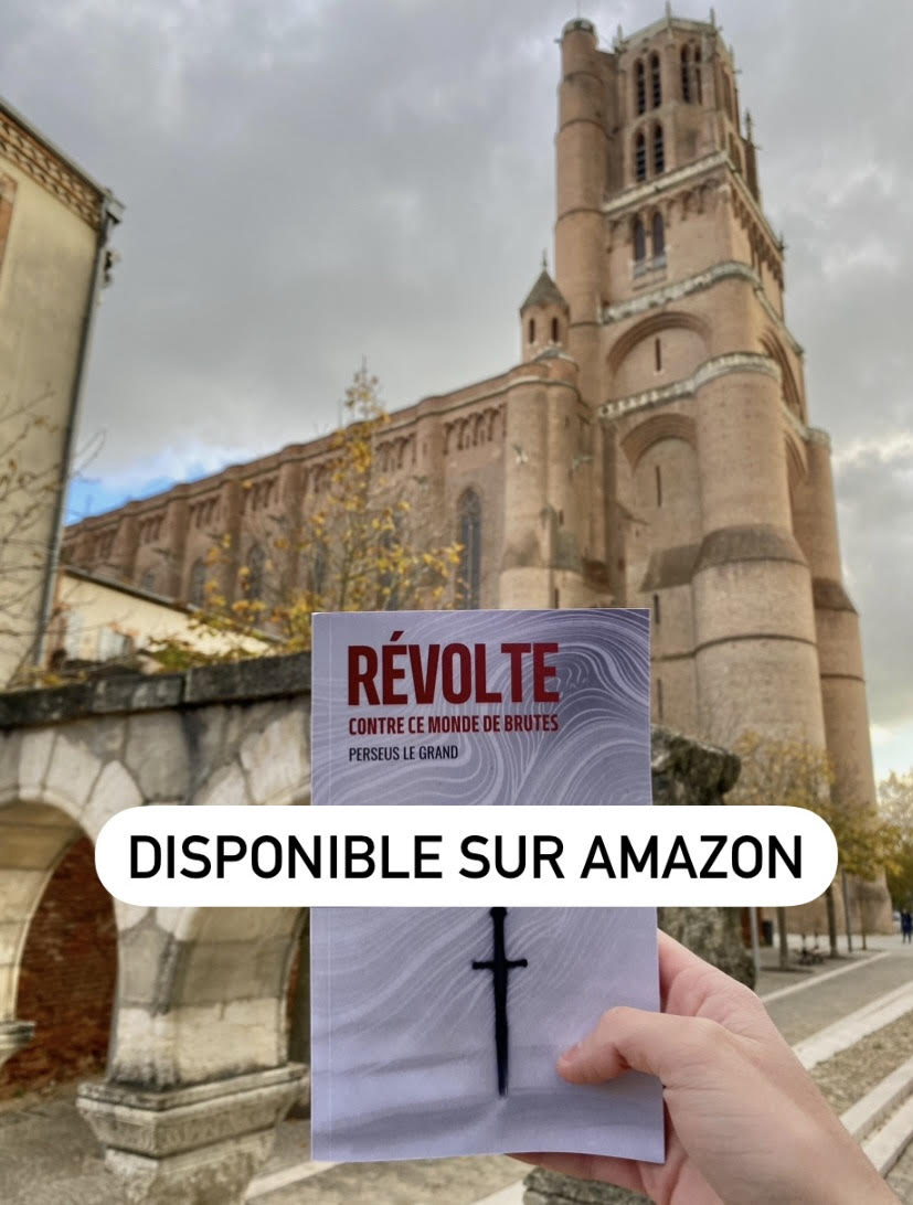 Je suis fier de vous annoncer la sortie de mon premier livre !

C’est LE plus gros projet de ma vie.

J’ai commencé à écrire ici, à Albi, après le décès de ma mamie.

Sa disparition a laissé un vide en moi.

Les mots sont devenus mes larmes et mes armes.

Révolte contre ce monde