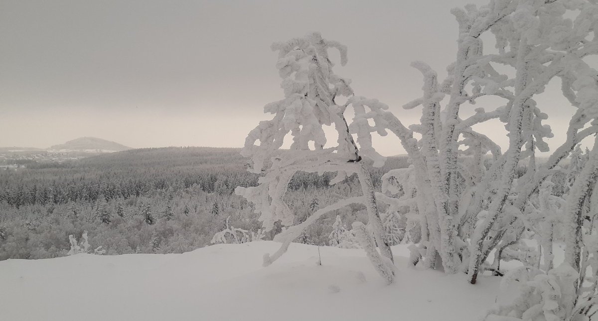 TorstenAbel1's tweet photo. Auch der Blick vom #Kahleberg (905 m) bei #Altenberg Richtung #Geisingberg heute so mythisch! https://t.co/JKNvrutAMV