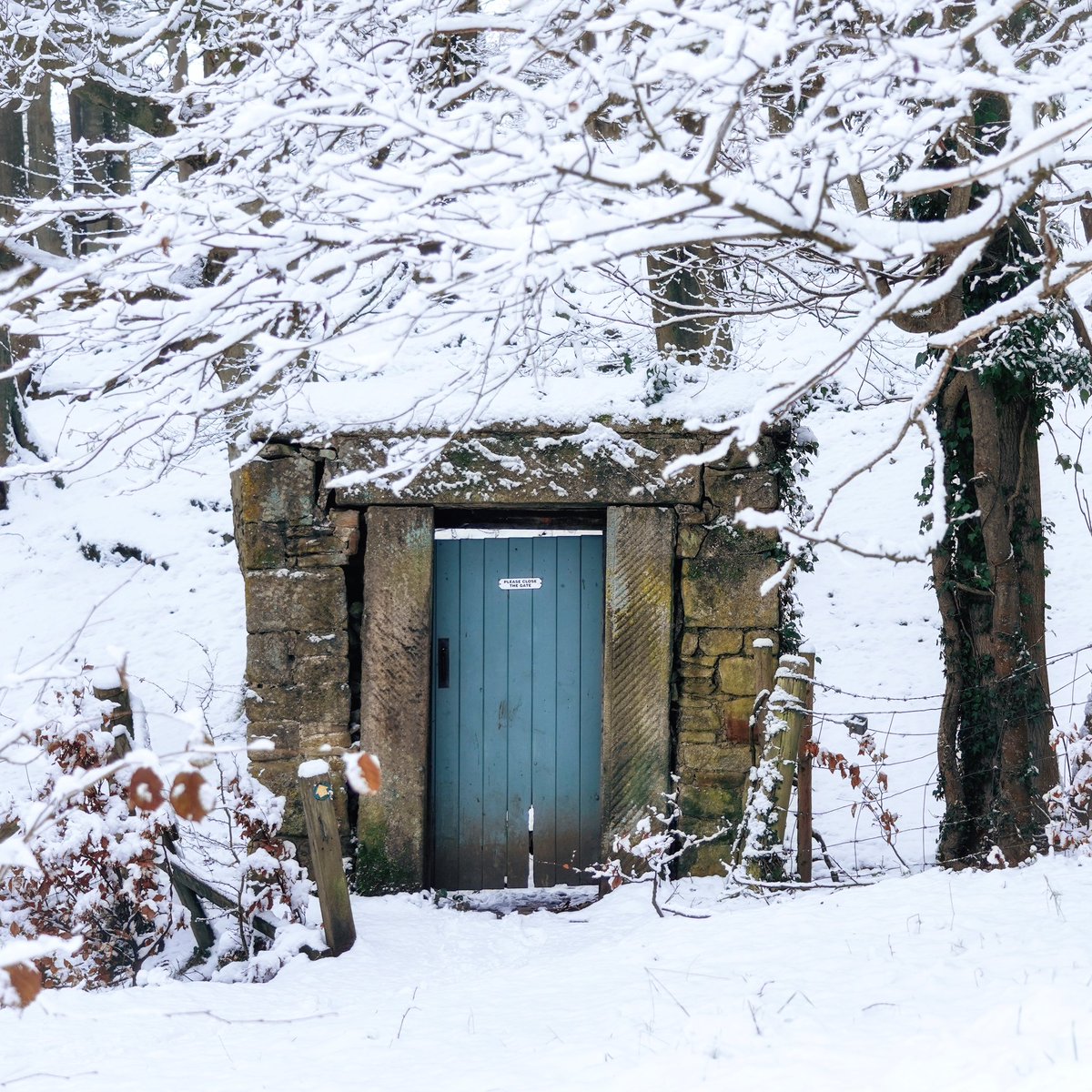 peaklass tweet media