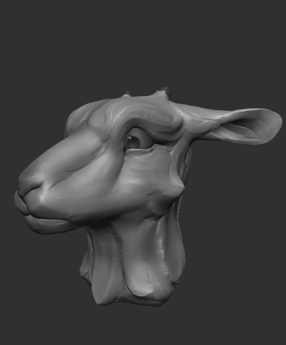 psaticus's tweet image. study