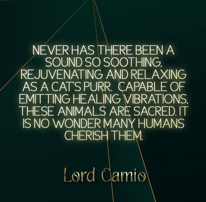 SatanandSons's tweet photo. Lord Camio knows animals, especially pets. Listen to his words and you may find yourself with a deeper connection with animals.

#demon #demonosophy #demonolatry #demonworship #demonwork #spiritwork #occult #goetia #demons #ladybune #bune https://t.co/Y38fIAqb97