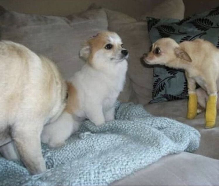 เป๊ะ555555555555555