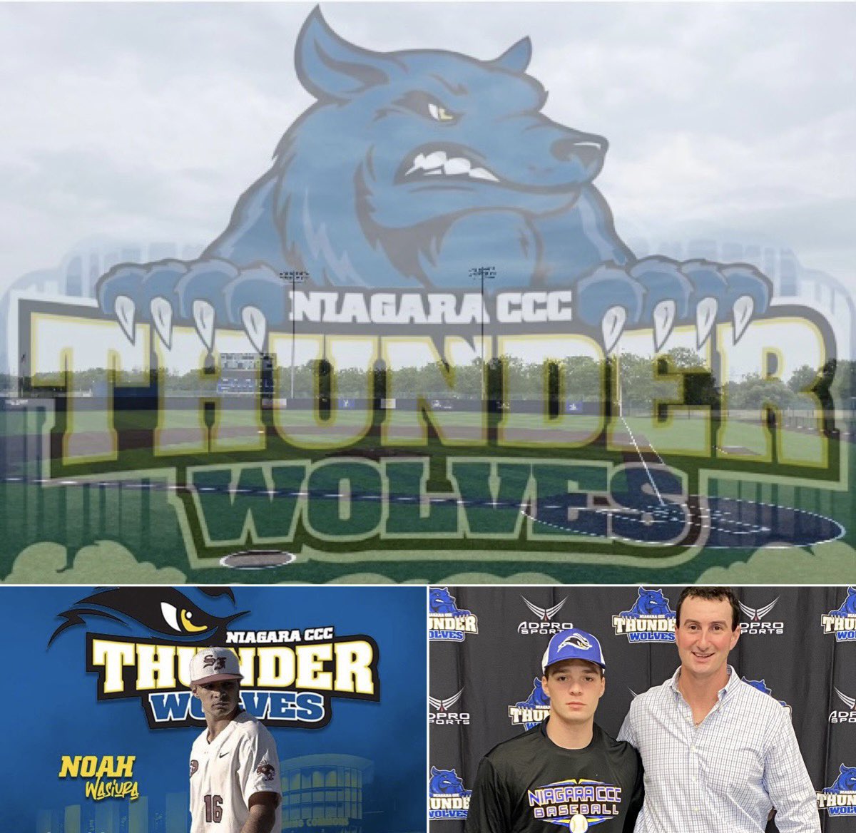 NWasiura's tweet photo. Yesterday I signed to continue my academic and baseball career @NiagaraTwolves . I would also like to thank my family and friends for their love and support. #gowolves 🐺 @MClingersmith @SFRRBase @RonnieBernick @joeypanzarella_ https://t.co/c4bICgHwvo