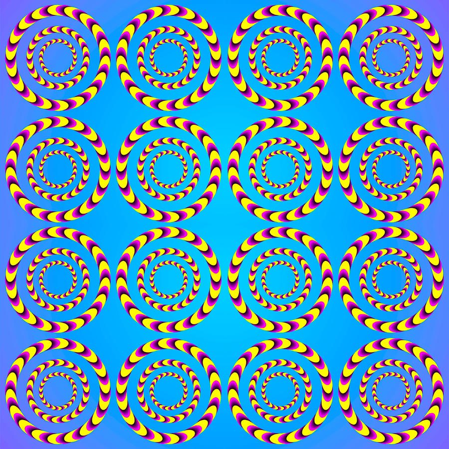 World of Memes tweet media